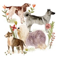 A Little Walk III Fine Art Print