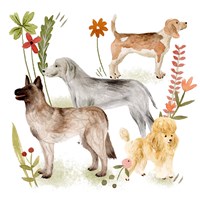 A Little Walk V Fine Art Print