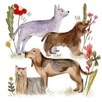 A Little Walk VI Fine Art Print