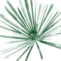 Palm II Fine Art Print