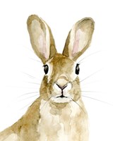 Bunn I Fine Art Print