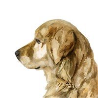 Pet Profile I Fine Art Print