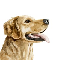 Pet Profile II Fine Art Print