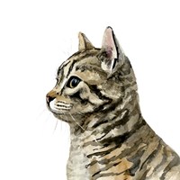 Pet Profile III Fine Art Print