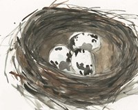 Nesting Eggs I Fine Art Print