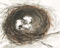 Nesting Eggs III Fine Art Print