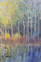 Reflected Trees I Fine Art Print