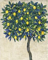 Lemon Tree Composition I Fine Art Print