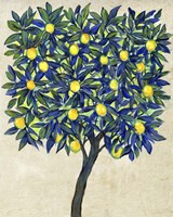 Lemon Tree Composition II Fine Art Print