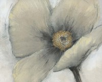 Single Cream Bloom I Fine Art Print