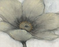 Single Cream Bloom II Fine Art Print