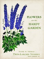 Antique Seed Packets II Fine Art Print