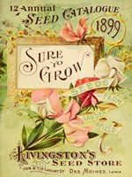 Antique Seed Packets VIII Fine Art Print