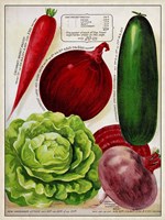 Antique Seed Packets XI Fine Art Print