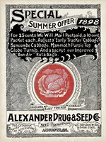 Antique Seed Packets XIII Fine Art Print
