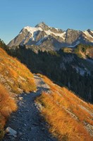 Mount Shuksan North Cascades Fine Art Print