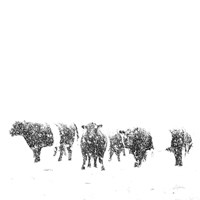 Oreos and Milk II Sq Fine Art Print