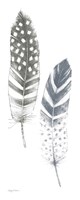 Feather Sketches VIII Blue Gray Fine Art Print