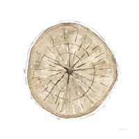 Natures Leaves VI Fine Art Print