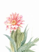 Pastel Desert II Fine Art Print
