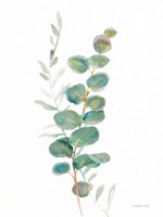 Greenery III Fine Art Print