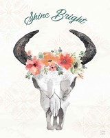 Sweet Southwest XVI Fine Art Print