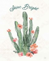 Sweet Southwest XIV Fine Art Print