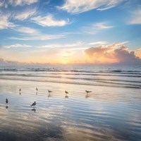 Morning Beauty Fine Art Print