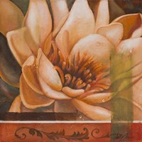 Flor de Loto II Fine Art Print