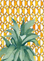 Yellow Tile Agave Fine Art Print