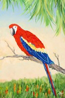 Tropic Bird in Paradise I Fine Art Print