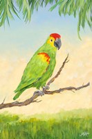 Tropic Bird in Paradise II Fine Art Print