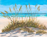 Beach Grass Fine Art Print