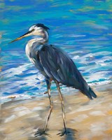 Beach Bird II Fine Art Print