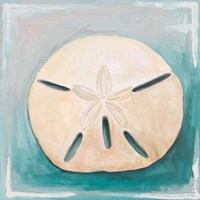 Sand Dollar on Teal Fine Art Print