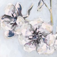 Bunched Flowers II Fine Art Print