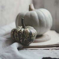 Fall Bunches Fine Art Print