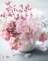 Morning Bliss Fine Art Print