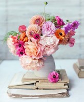 Afternoon Delight Fine Art Print