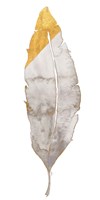 Gray and Gold Feather Fine Art Print