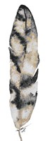 Black and Gold Feather Fine Art Print