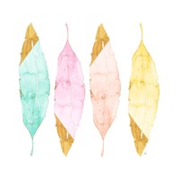 Four Feathers Fine Art Print