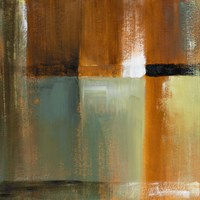 Sonoran Shadows IV Fine Art Print