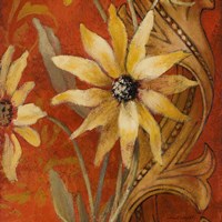 Honeyed Square II Framed Print