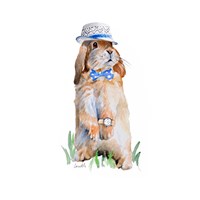 Modern Bunny V  (square) Fine Art Print