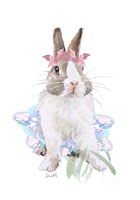 Ballet Bunny IV Fine Art Print