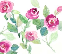 A Rose's Promise Fine Art Print
