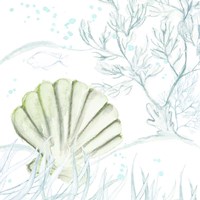 Green Shell Framed Print