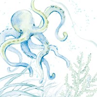 Blue Octopus Fine Art Print