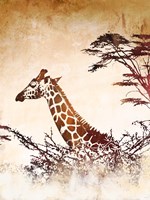 Safari Giraffe I Fine Art Print